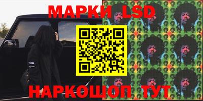шишки Заволжье
