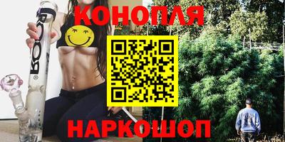 шишки Заволжье
