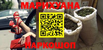шишки Заволжье