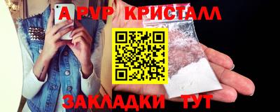 шишки Заволжье