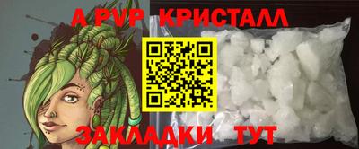 шишки Заволжье