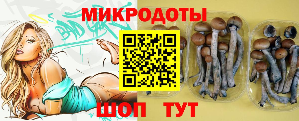 Галлюциногенные грибы Psilocybe  Галлюциногенные грибы мухоморы  Вход с VPN  Спасск-Дальний 