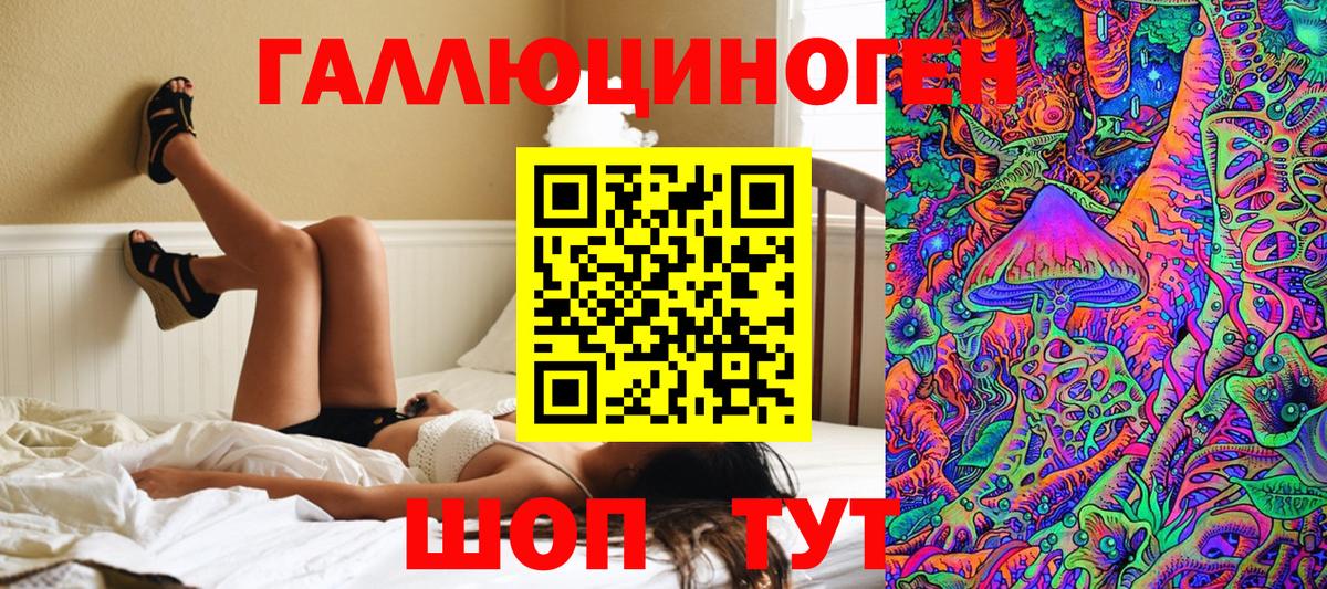 Псилоцибиновые грибы Psilocybe Спасск-Дальний